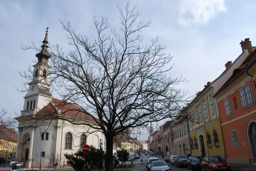 citadella
