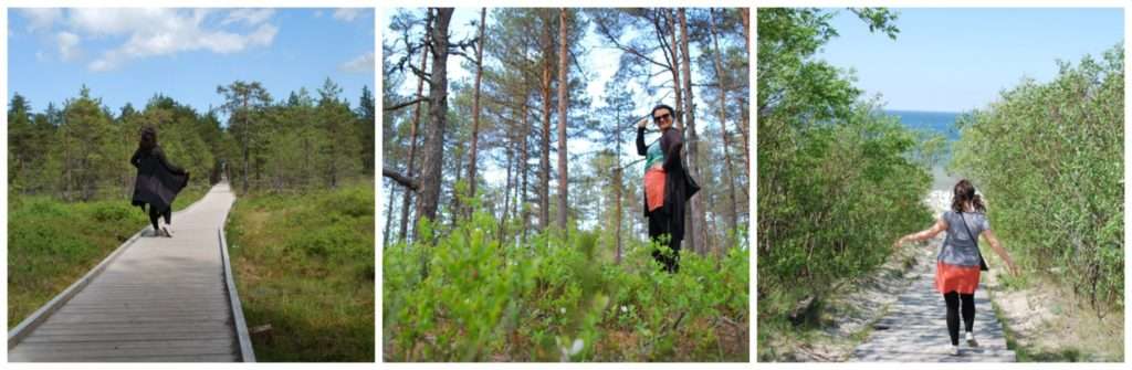 wilderness walks - Viru raba bog walking and Curonian spit beach
